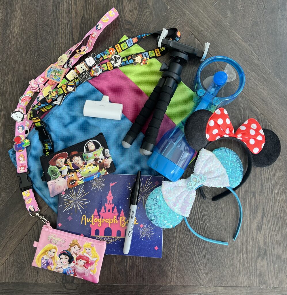 Assortment of the items to pack in a Disney World park bag