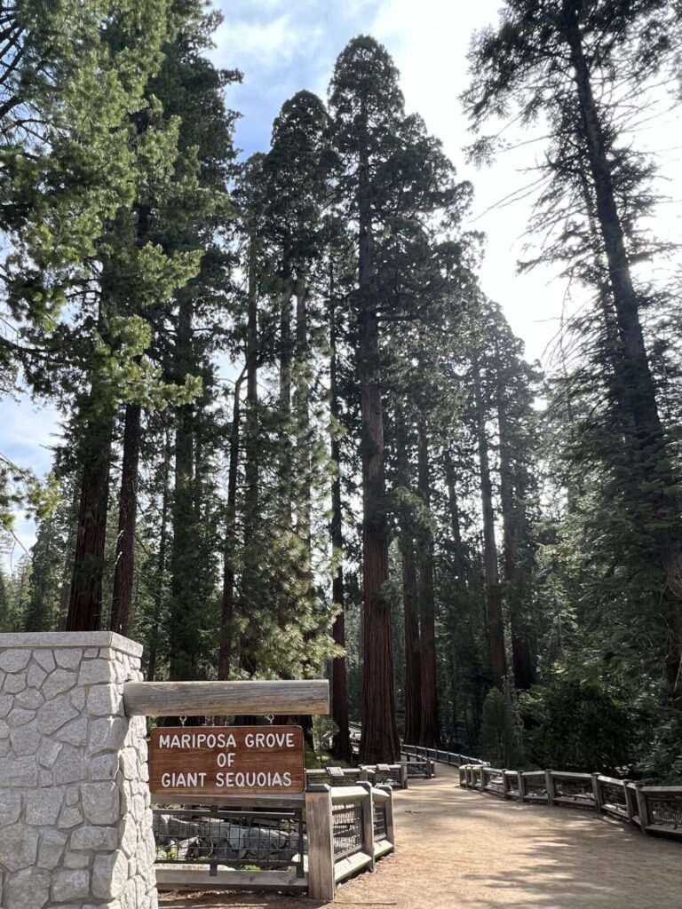 Entrance to Mariposa Grove in Yosemite National Park