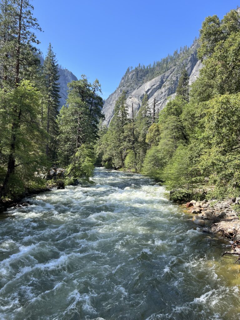 Merced River lined with trees and mountains in the background