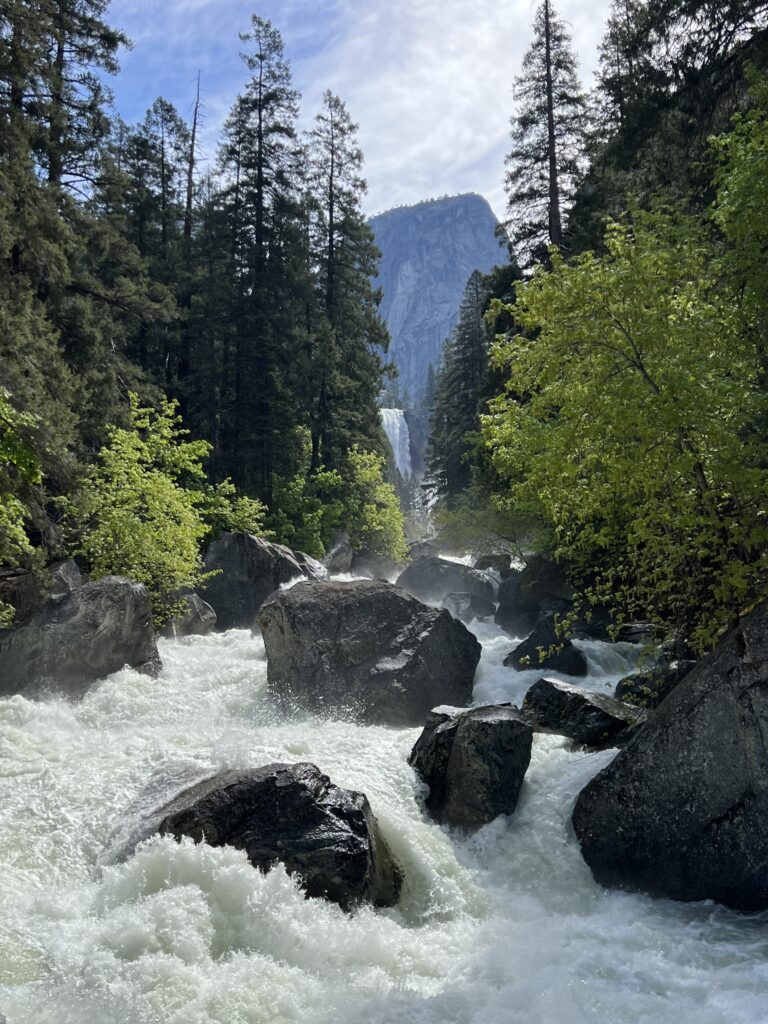 Raging tree lined Merced River with multiple boulders; Vernal Fall and mountain seen in the distance