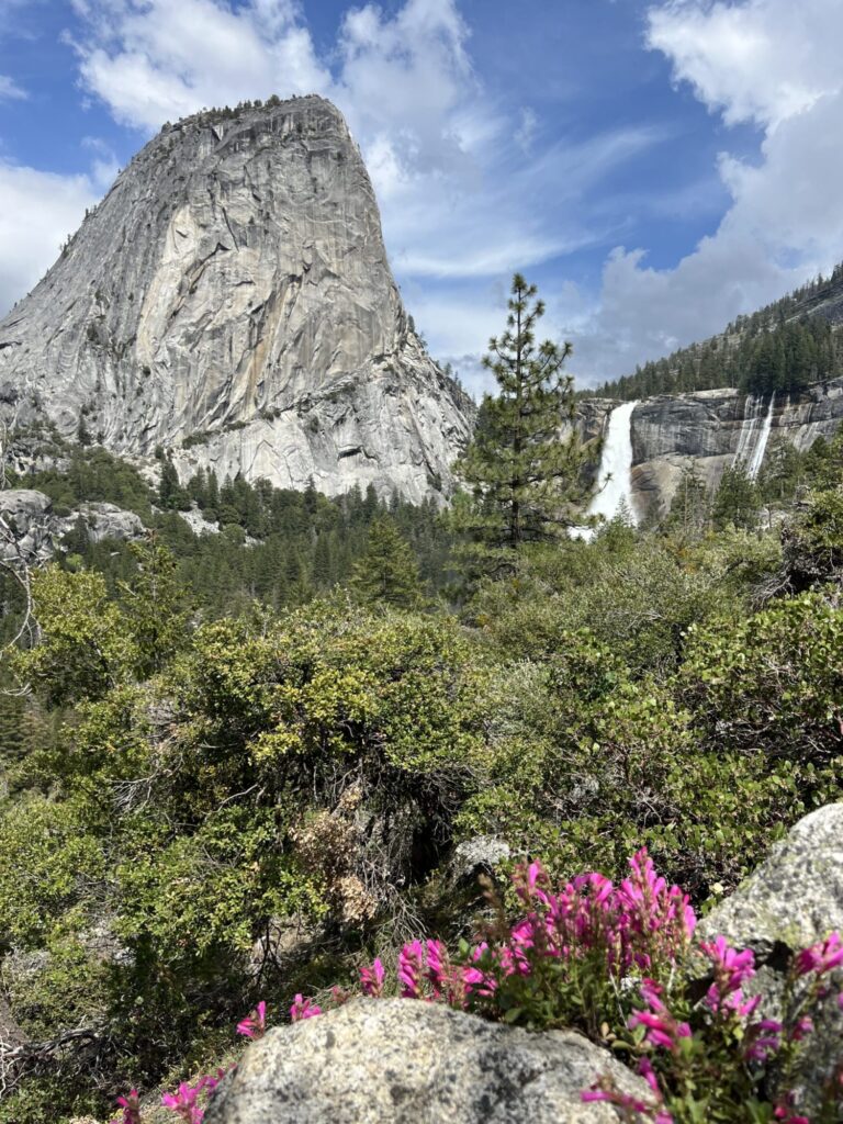 Trees and pink flowers with tall granite peak and waterfall seen from a distance