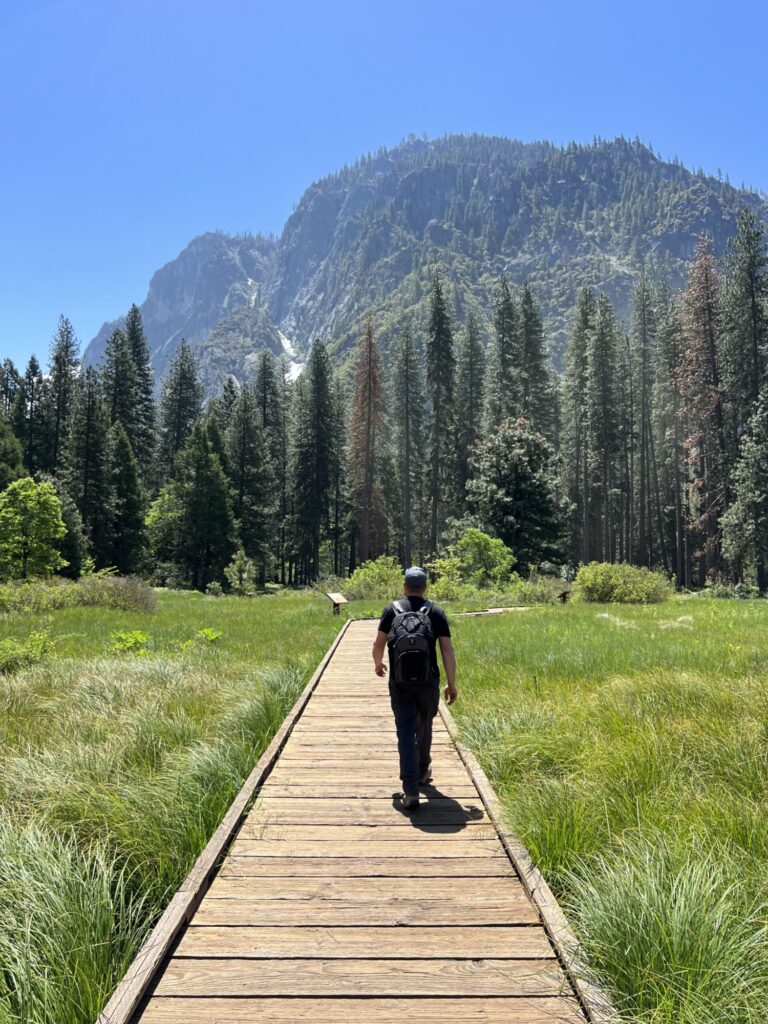 wooden boardwalk through meadow with views of trees and mountains